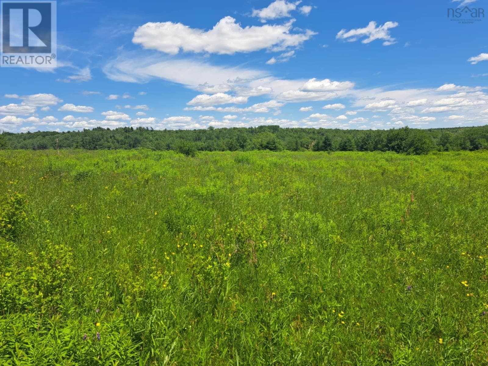 Lot 2 Lake Egmont Road — photo 2