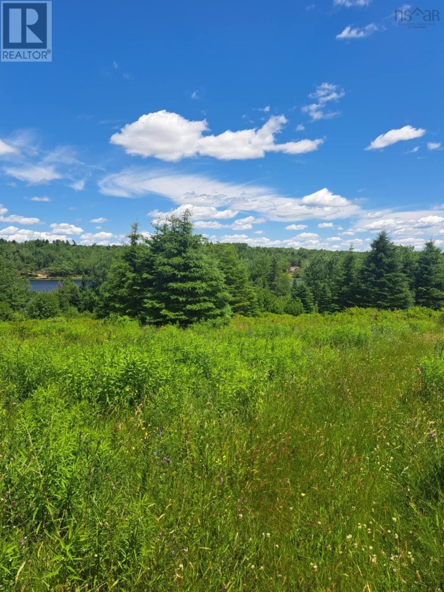 Lot 2 Lake Egmont Road — photo 3