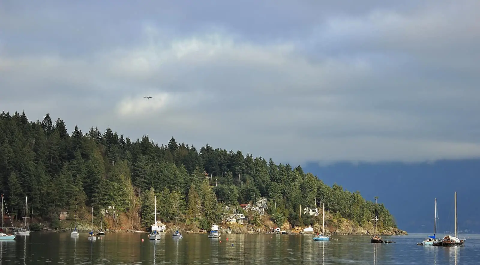 Deep Bay shoreline on Bowen Island