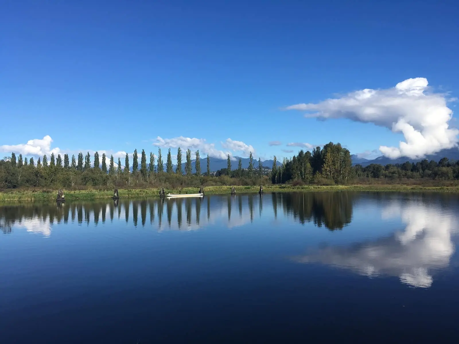 Burnaby Lake on a clear day