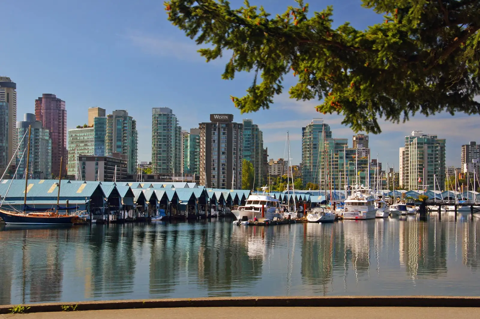 Coal Harbour marina and towers in downtown Vancouver