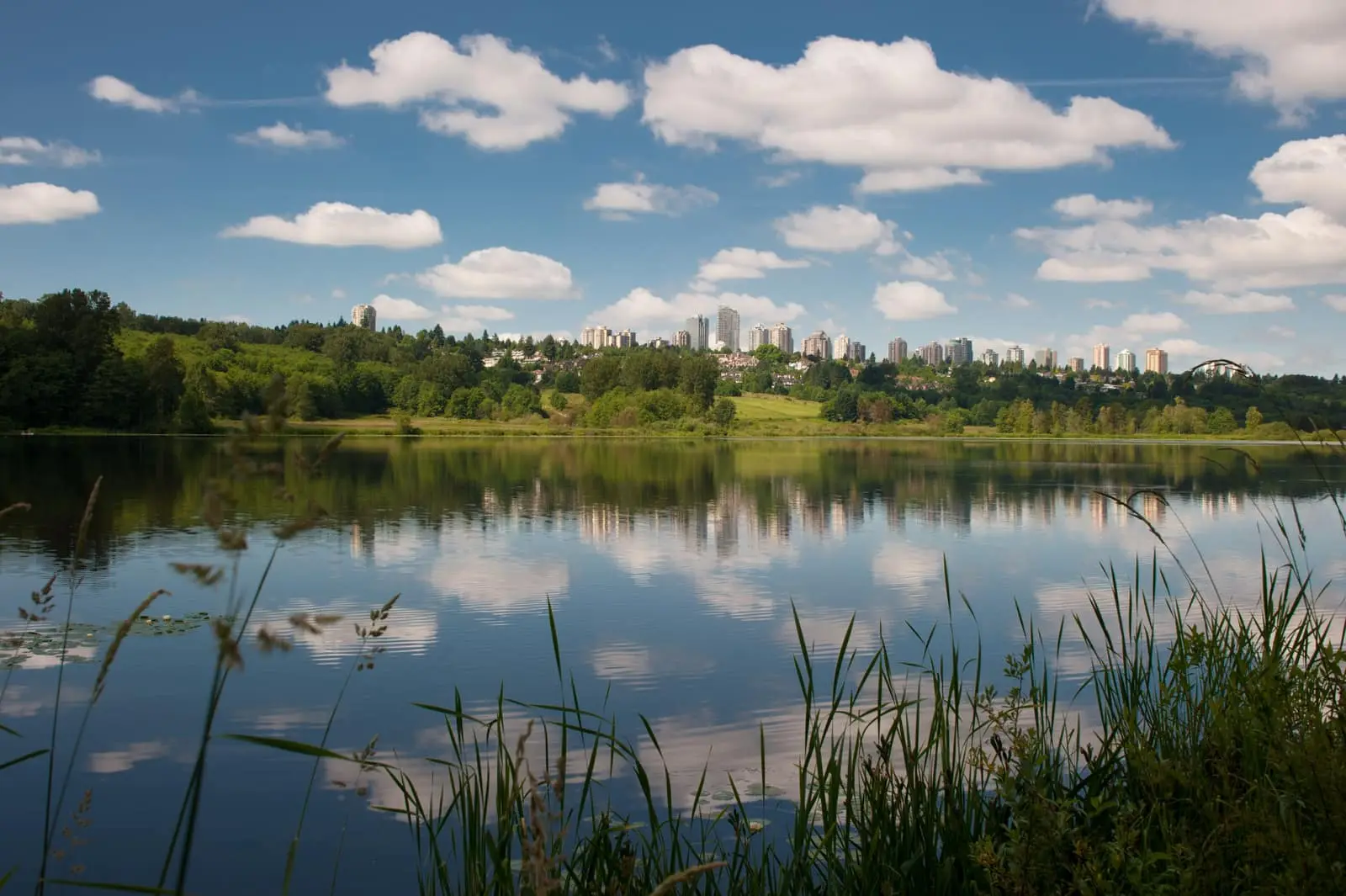 Deer Lake in Burnaby with the city beyond