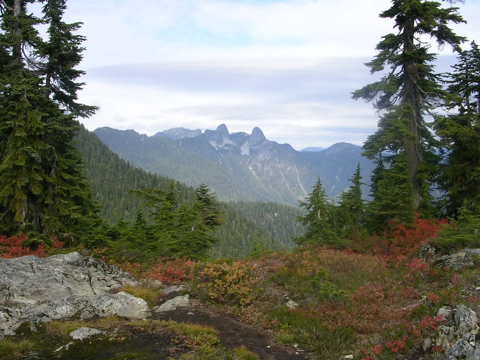 Hollyburn Mountain Trail overlooking The Lions in West Vancouver