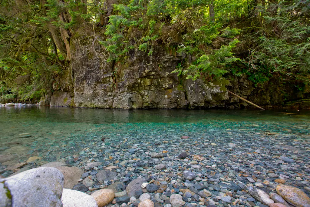 Lynn Creek running through Inter River Park in North Vancouver
