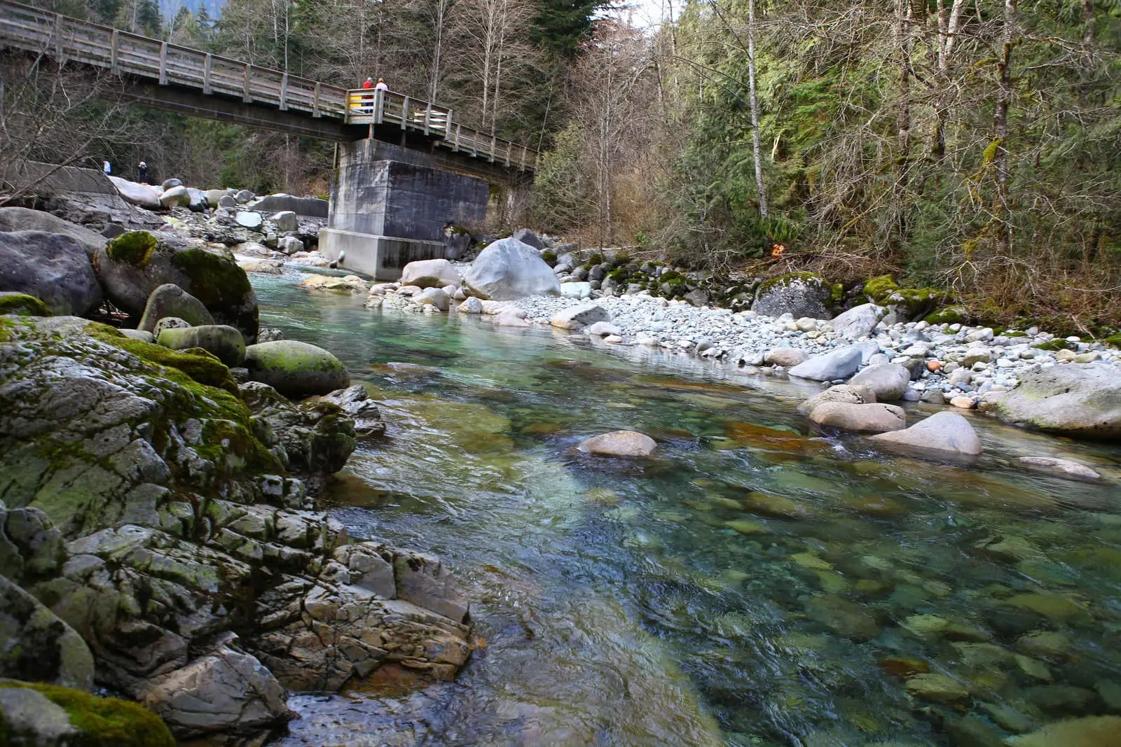 Lynn Creek running through Lynn Headwaters Regional Park in North Vancouver