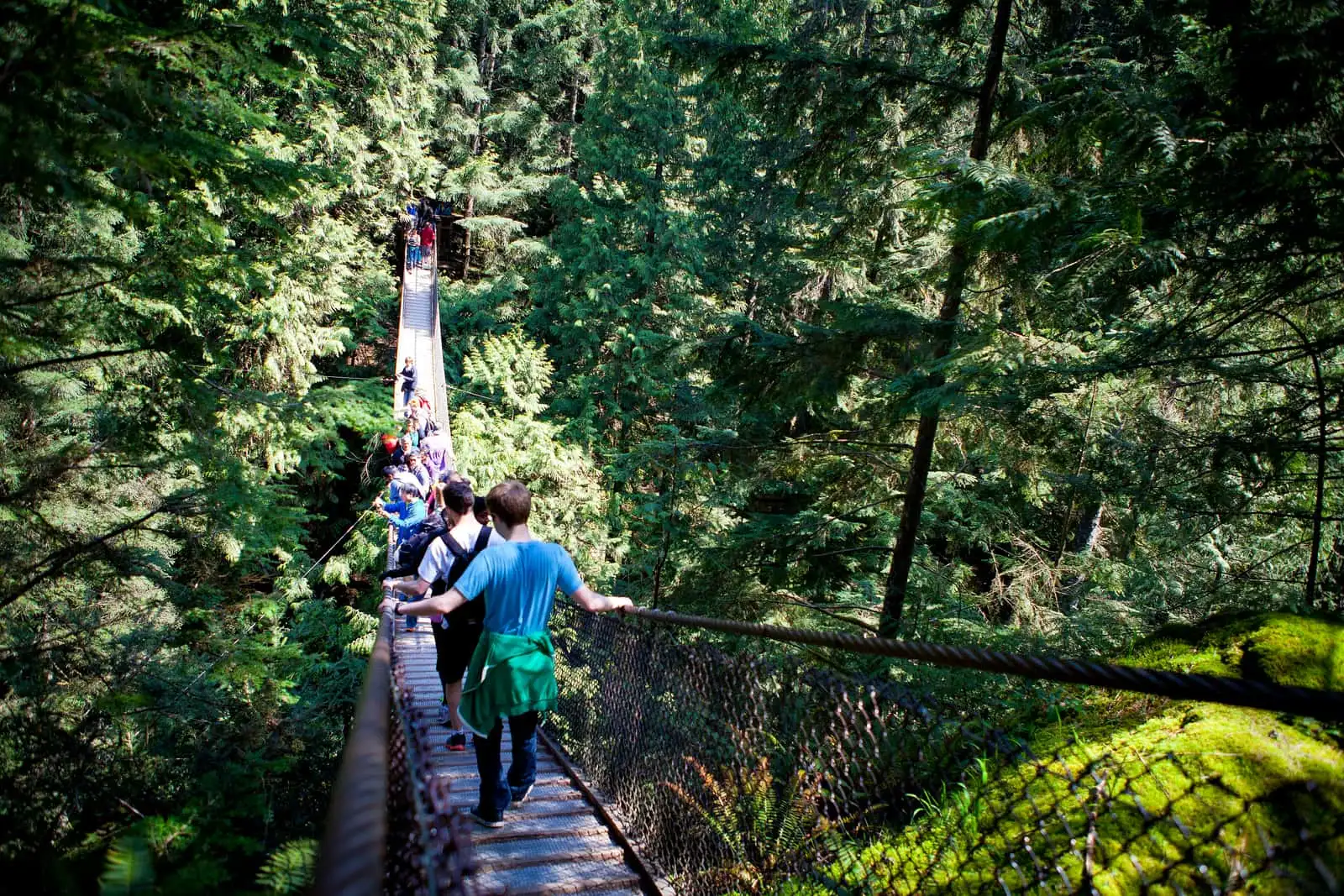 Lynn Canyon suspension bridge in Lynn Valley, North Vancouver