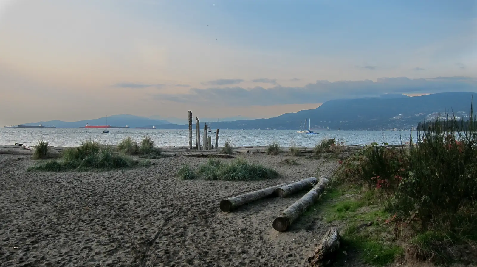 Jericho Beach shoreline with drift logs and English Bay in Point Grey, Vancouver