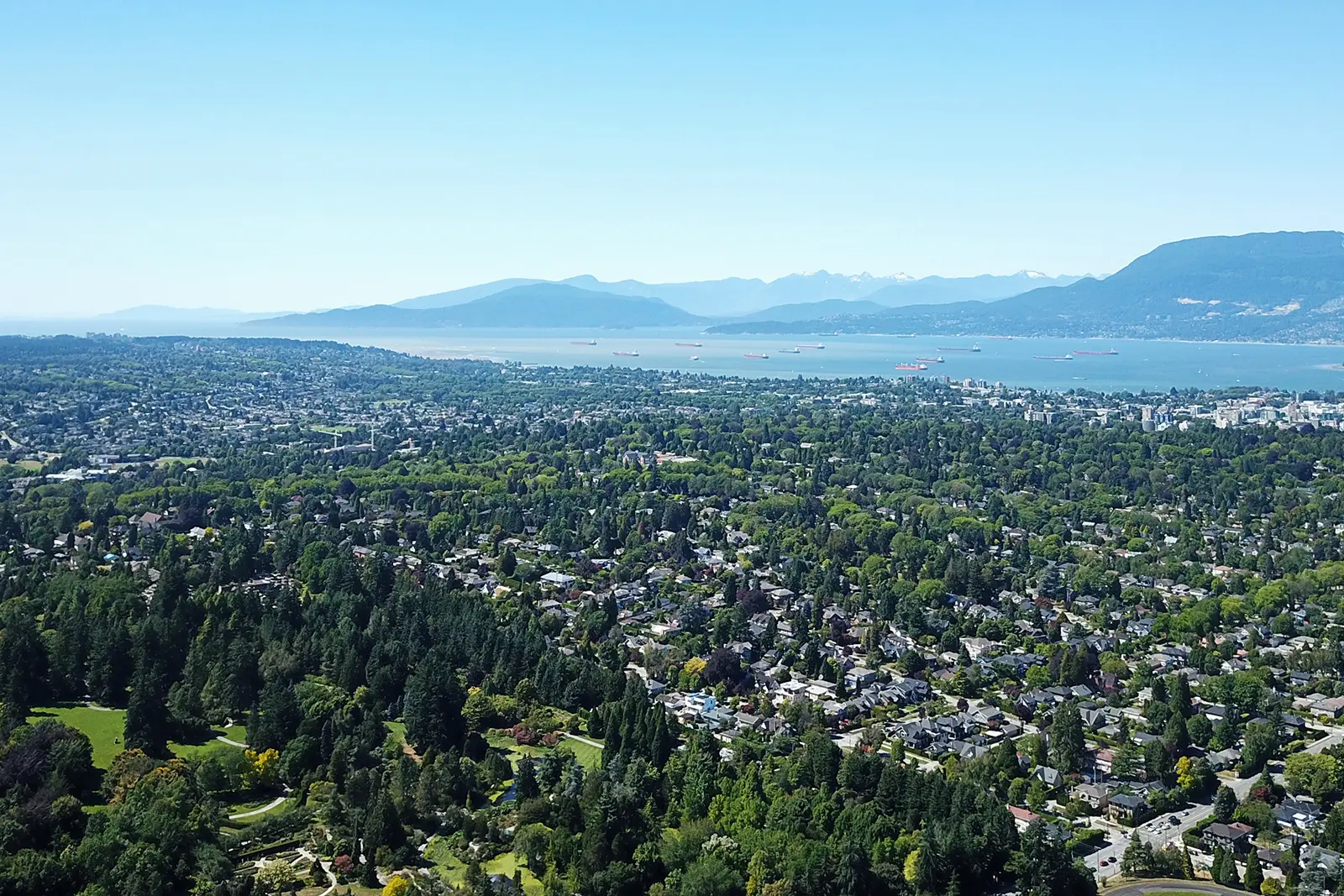Elevated view overlooking the tree canopy and residential streets of Shaughnessy toward English Bay