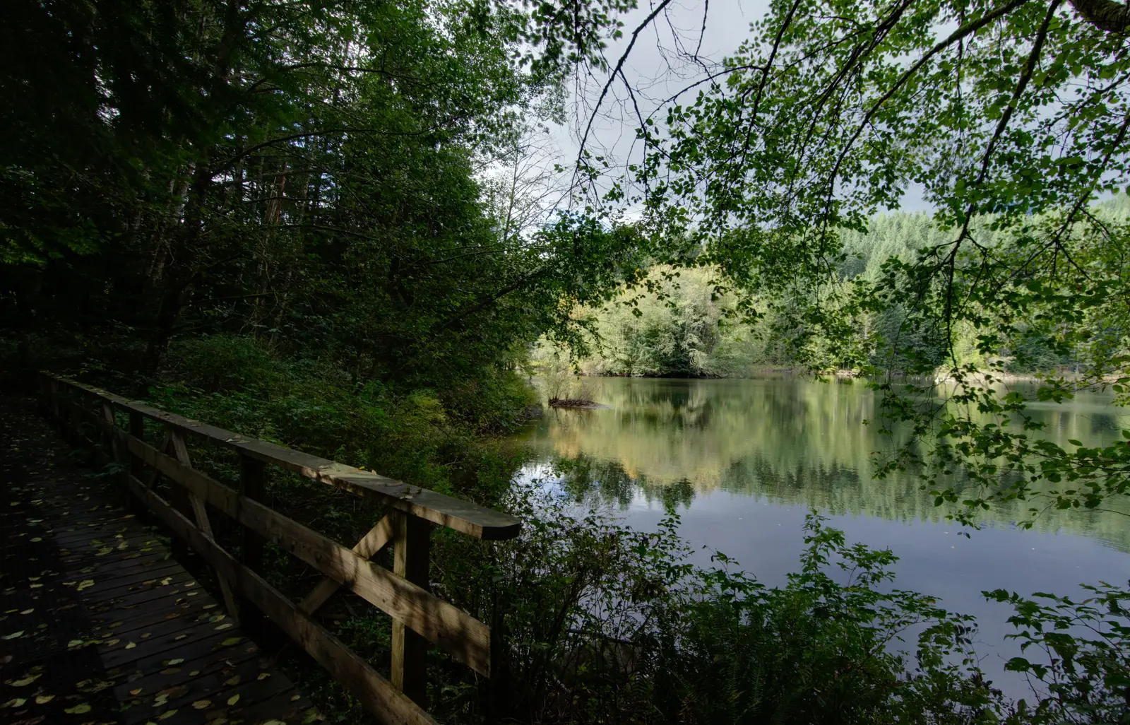 Wooden observation dock and calm waters at Rice Lake in Upper Lynn Valley, North Vancouver